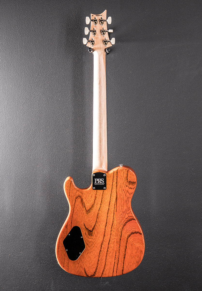 NF53 - Orange Tabby