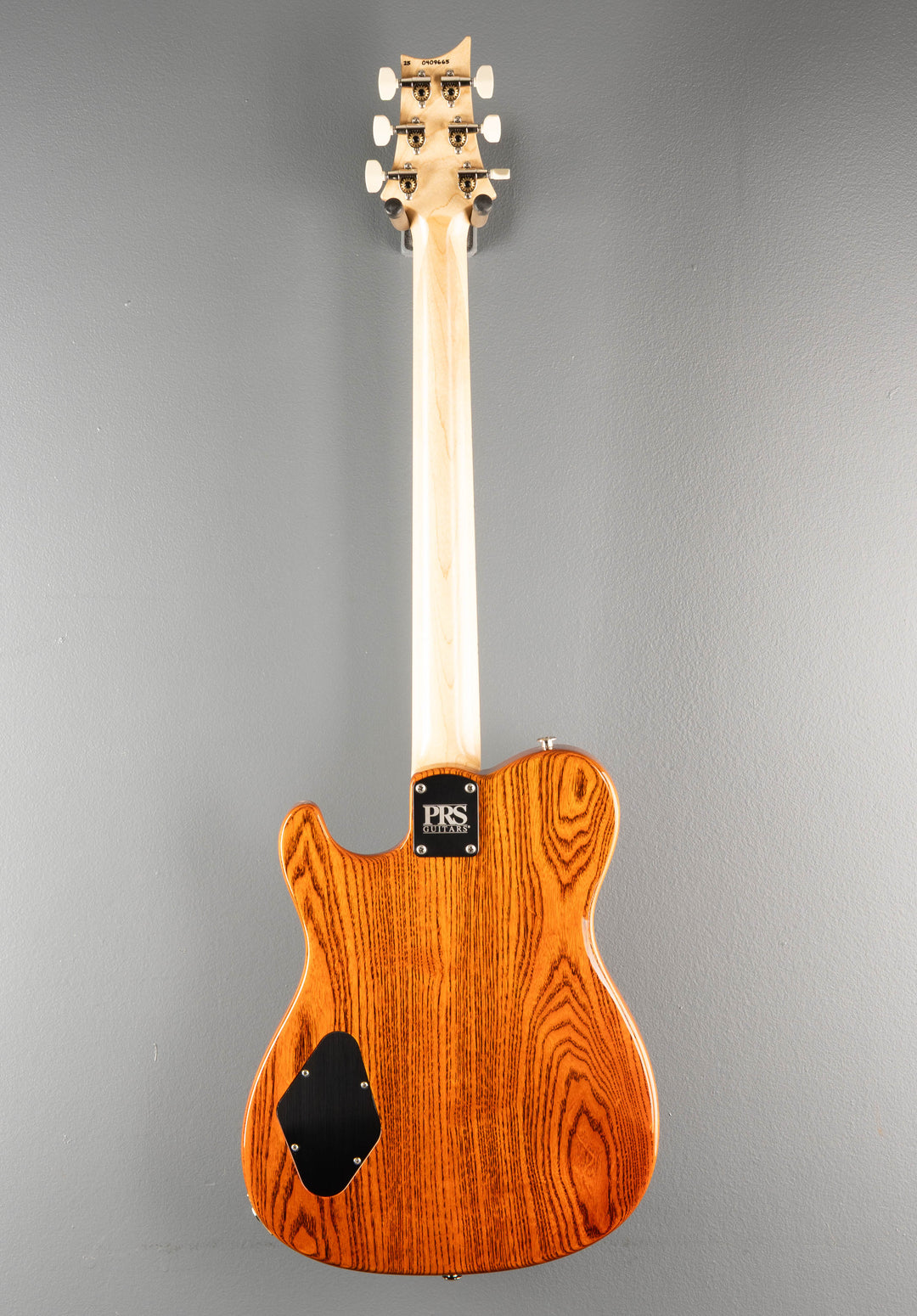 NF53 - Orange Tabby