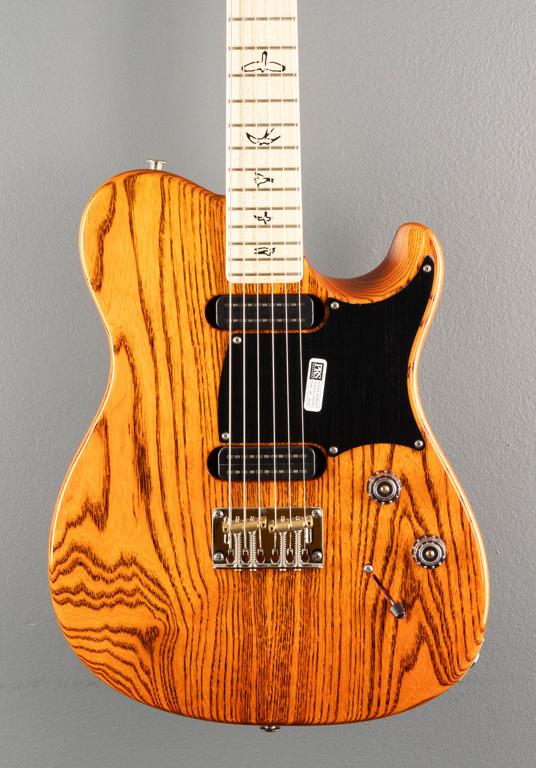 NF53 - Orange Tabby