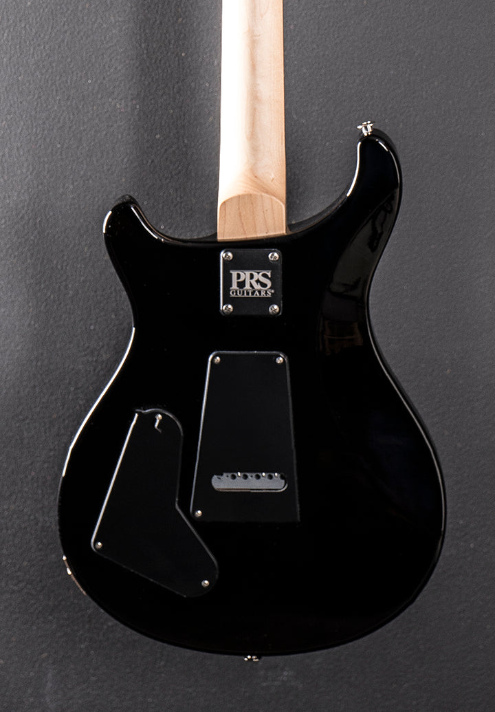 Swamp Ash Special - Black Doghair Smokeburst