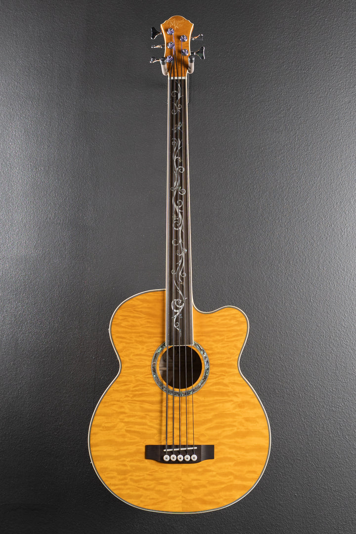 Dragonfly 5-String Fretless Acoustic Bass, Recent
