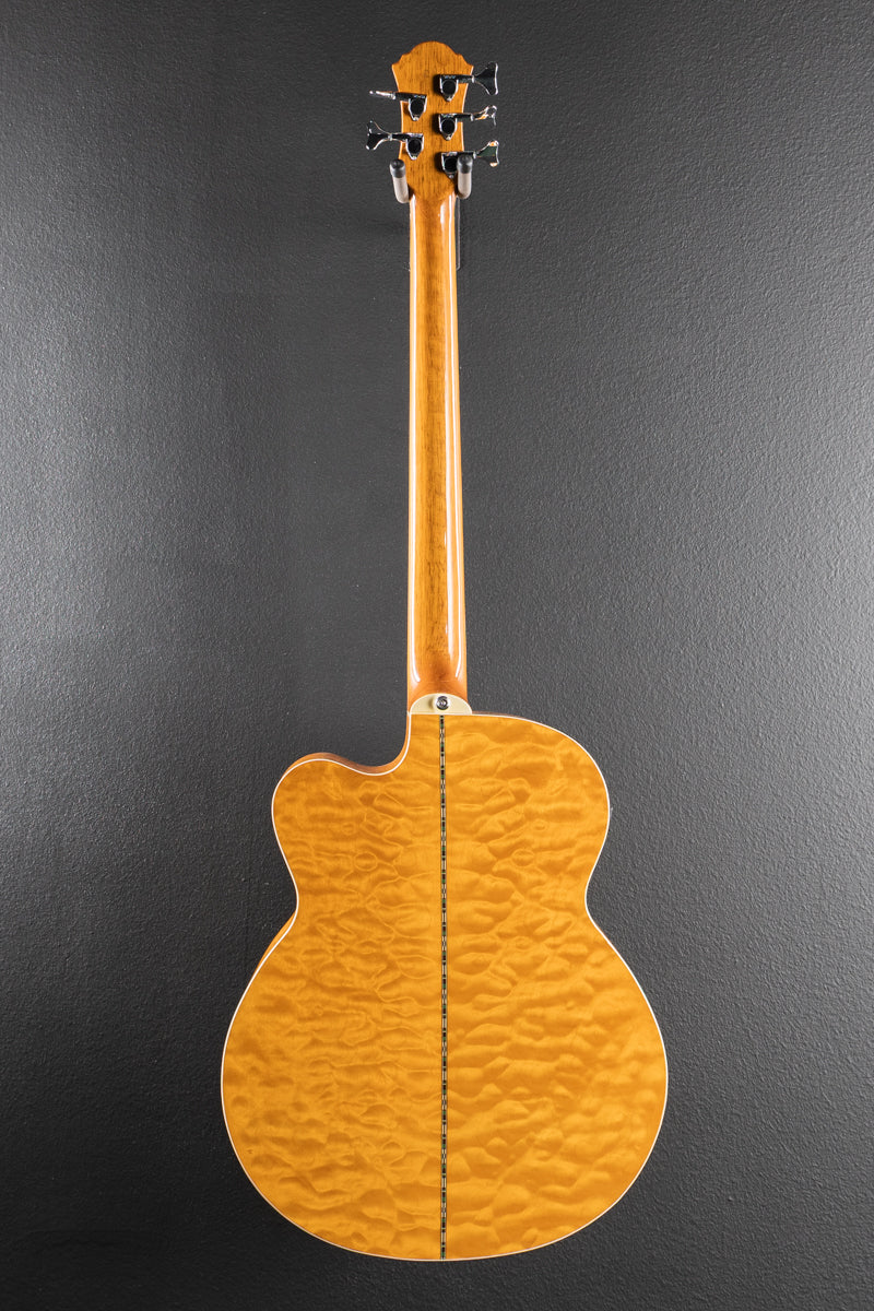 Dragonfly 5-String Fretless Acoustic Bass, Recent