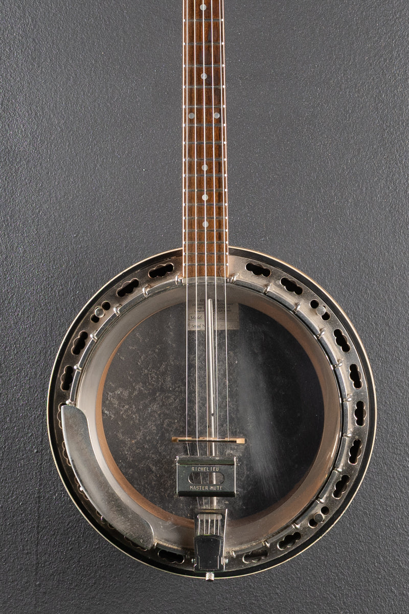 Standard 5-String Banjo &