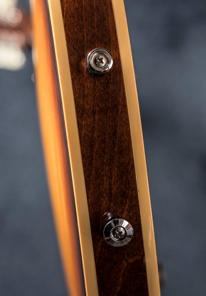 1964 Reissue ES-335 &