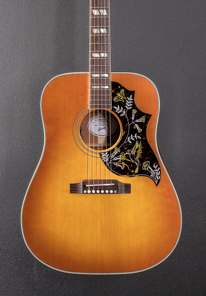Hummingbird Standard Faded &