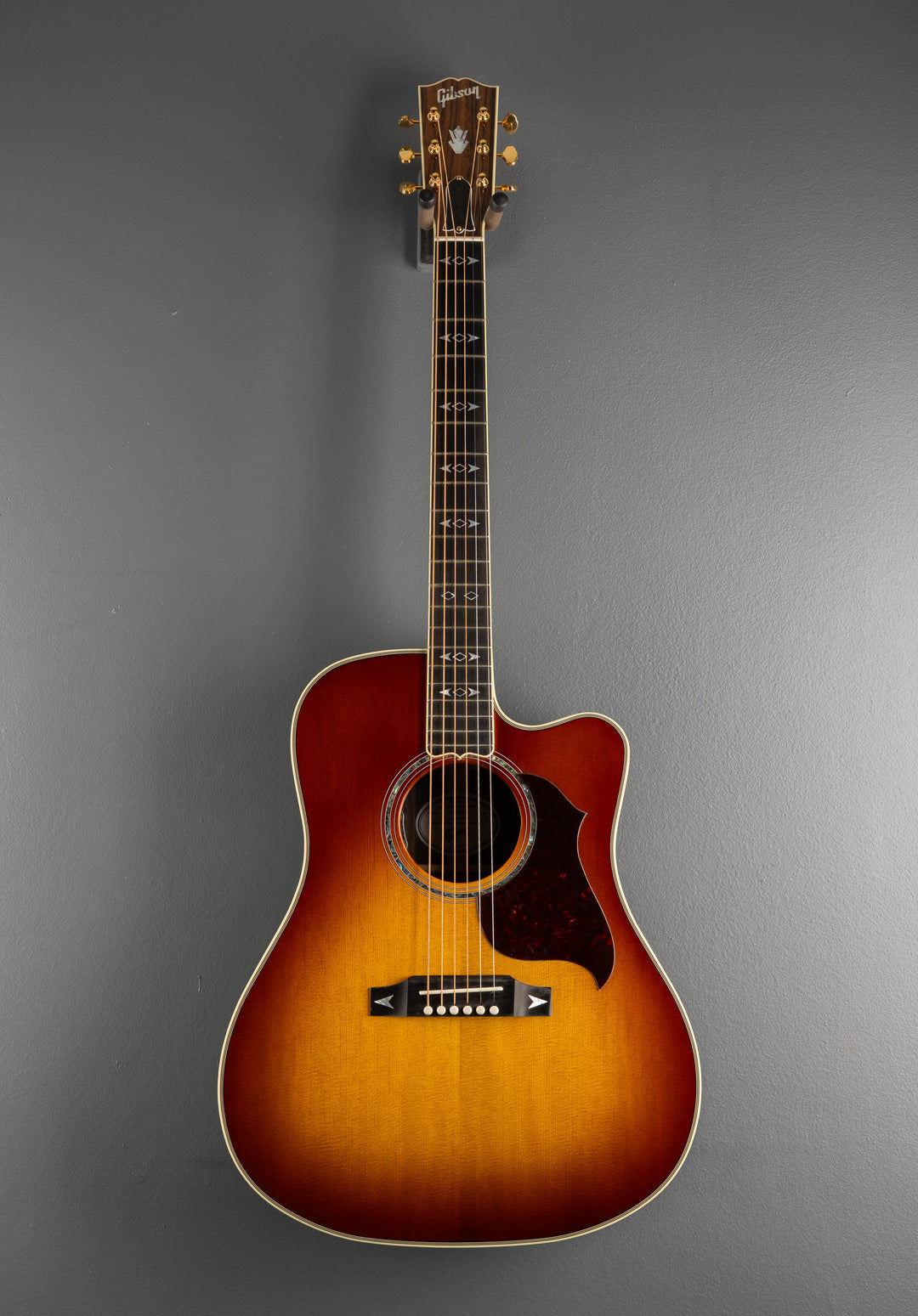 Songwriter Recording Artist EC - Rosewood Burst