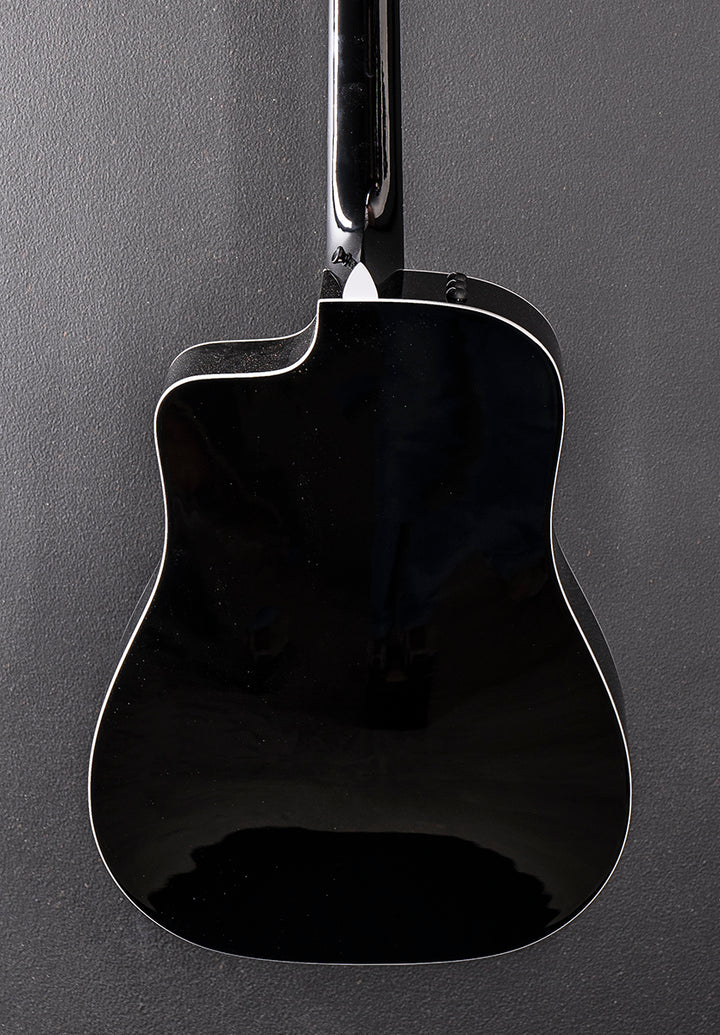 250CE-BLK Plus 12 String