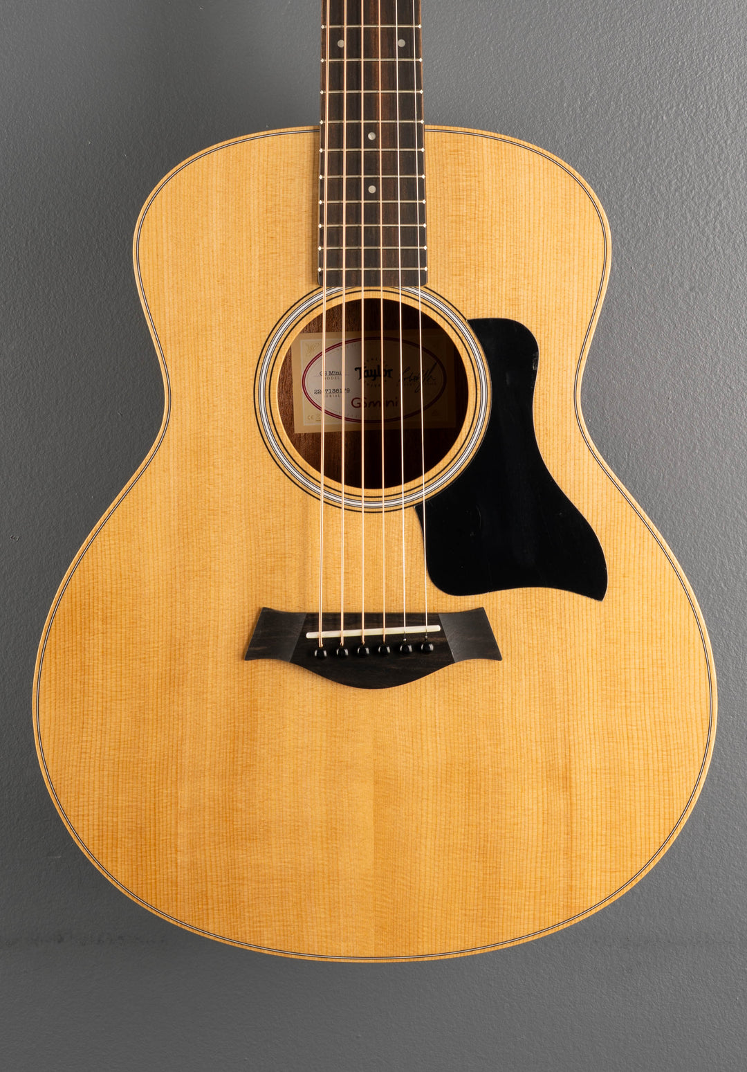 Used GS Mini Sapele &