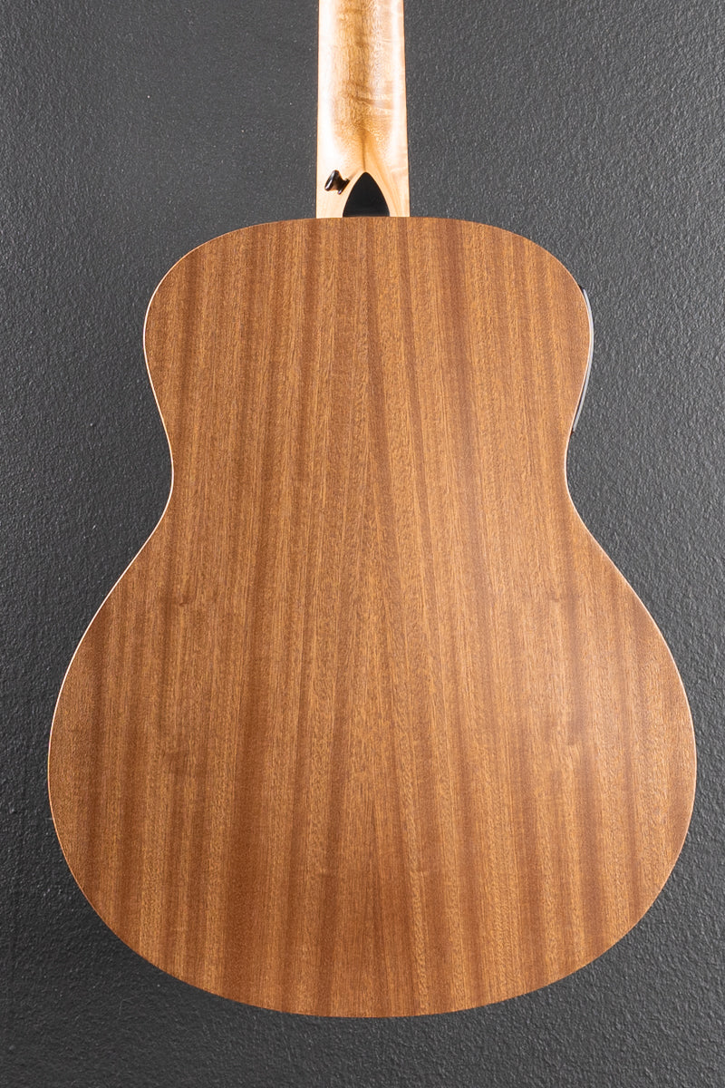 Used GS Mini-E Special Edition &