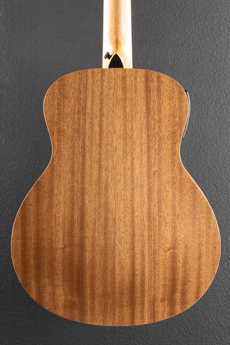 Used GS Mini-E Special Edition &