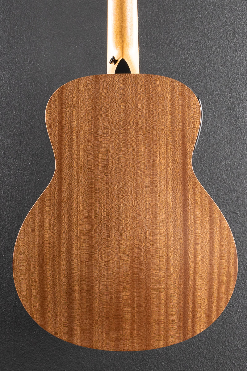 Used GS Mini-E Telos Special Edition &