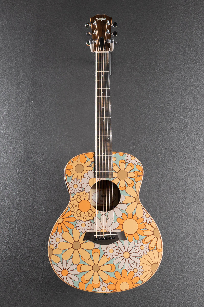 Used GS Mini-E Special Edition &