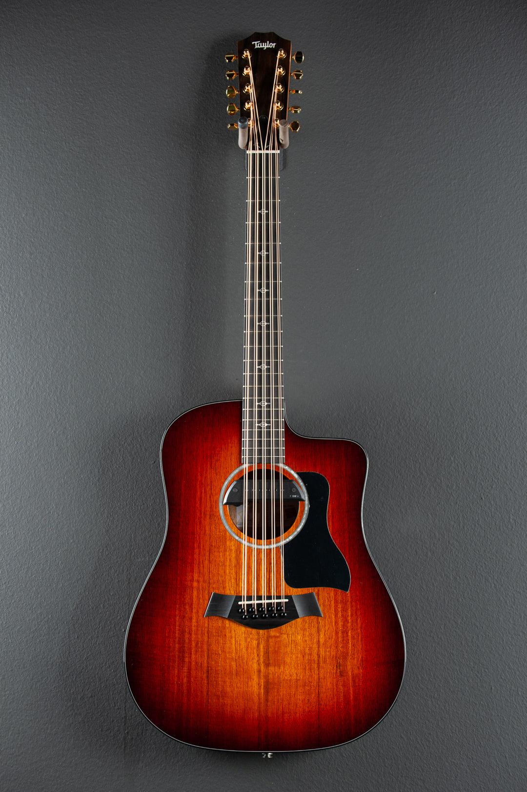 260CE 10 String Bajo Quinto Prototype