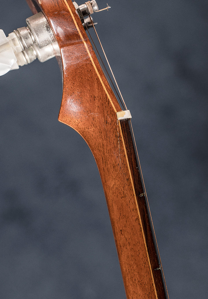 Model 6510-2SR Ode 5 String Banjo &