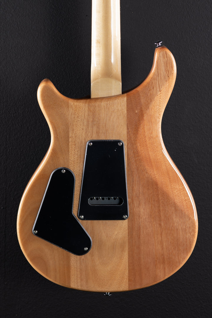 SE Custom 24 &
