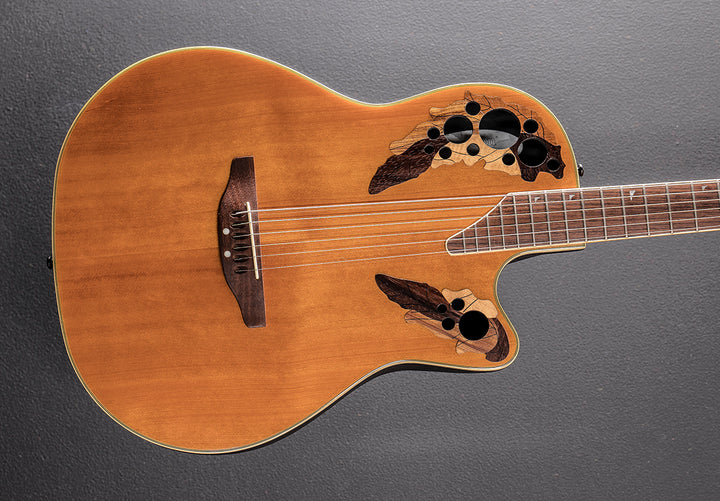 Celebrity Model DCS-247S Baritone, Recent