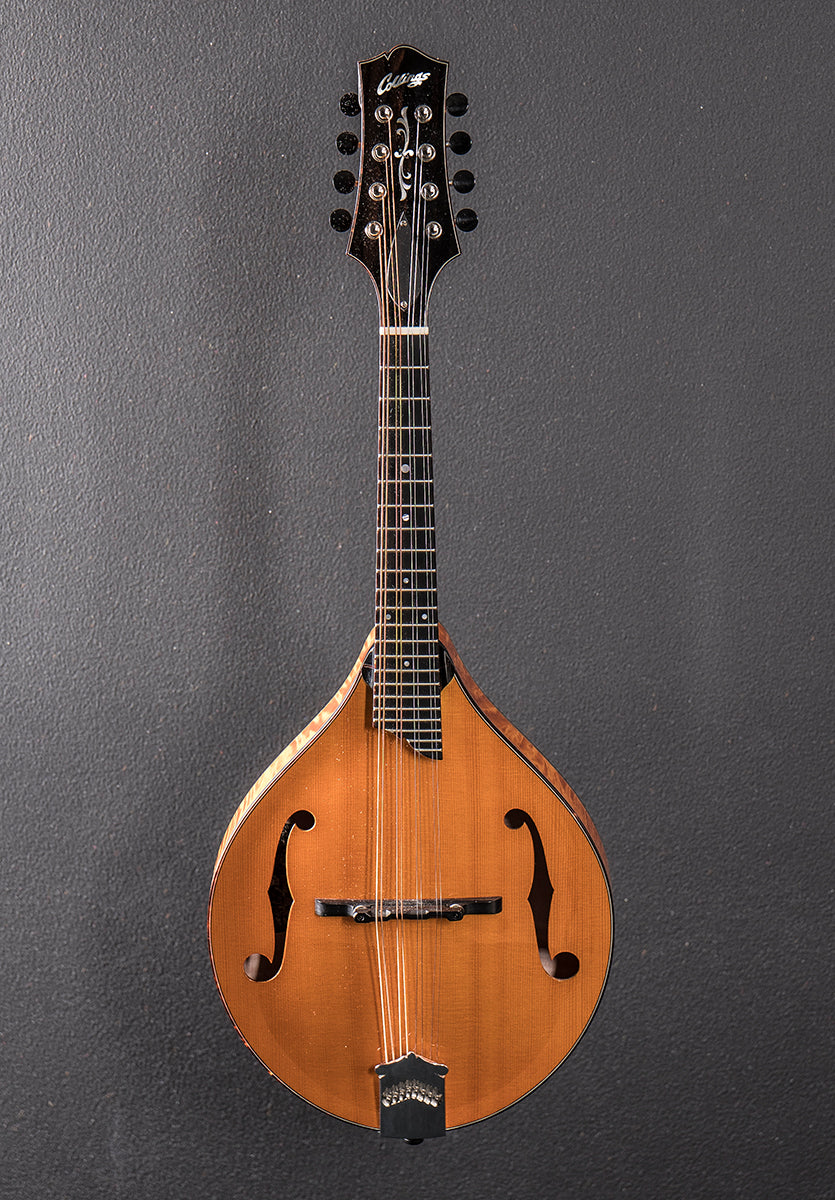 MT2 Mandolin &