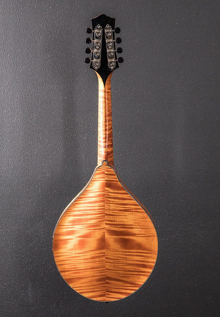 MT2 Mandolin &