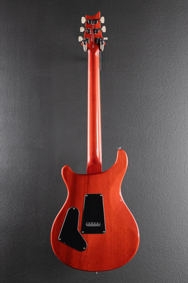 SE Custom 24 &