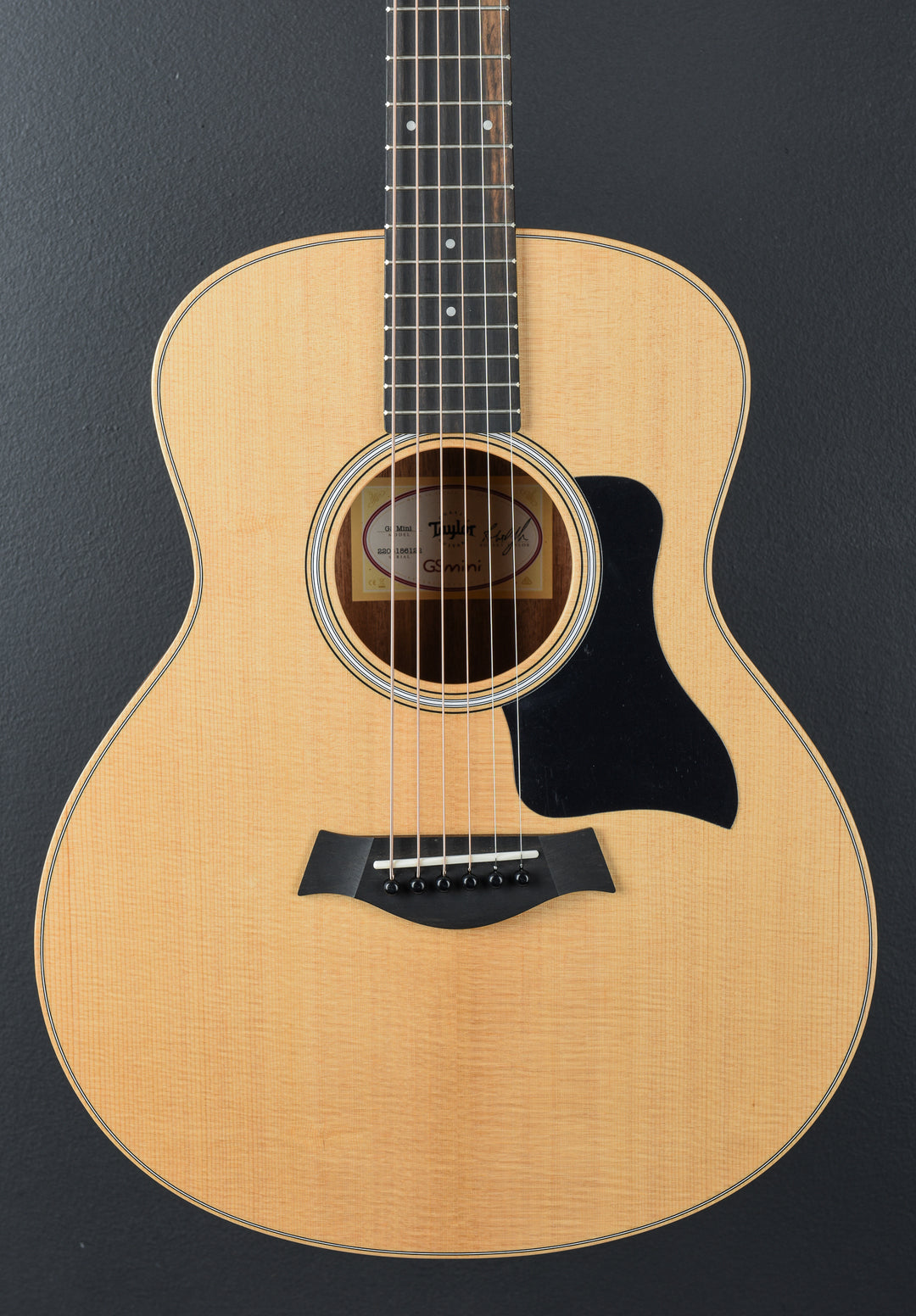 USED GS Mini Sapele &