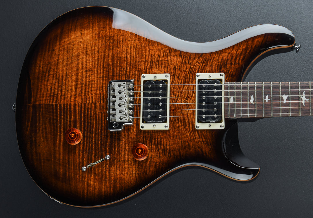 SE Custom 24 &
