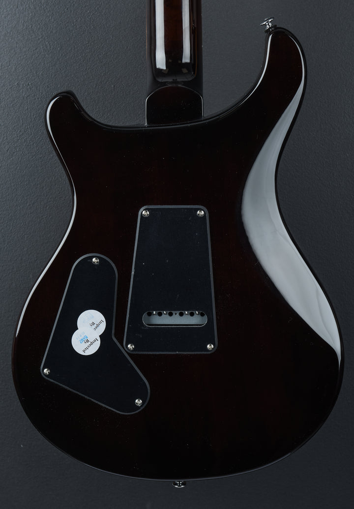 SE Custom 24 &