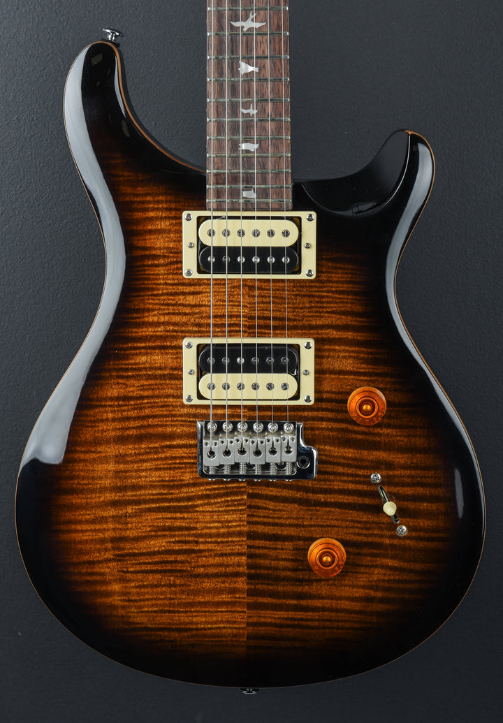 SE Custom 24 &