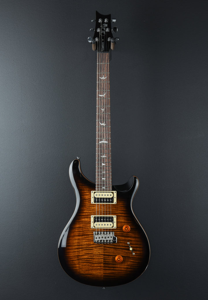 SE Custom 24 &