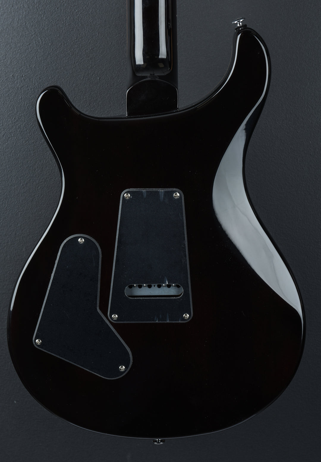 SE Custom 24 &