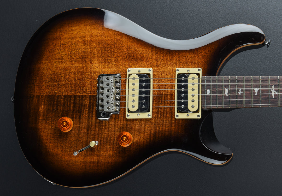 SE Custom 24 &