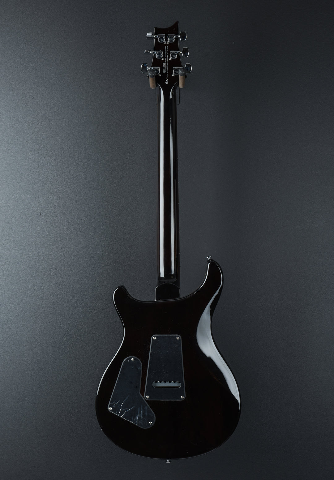 SE Custom 24 &