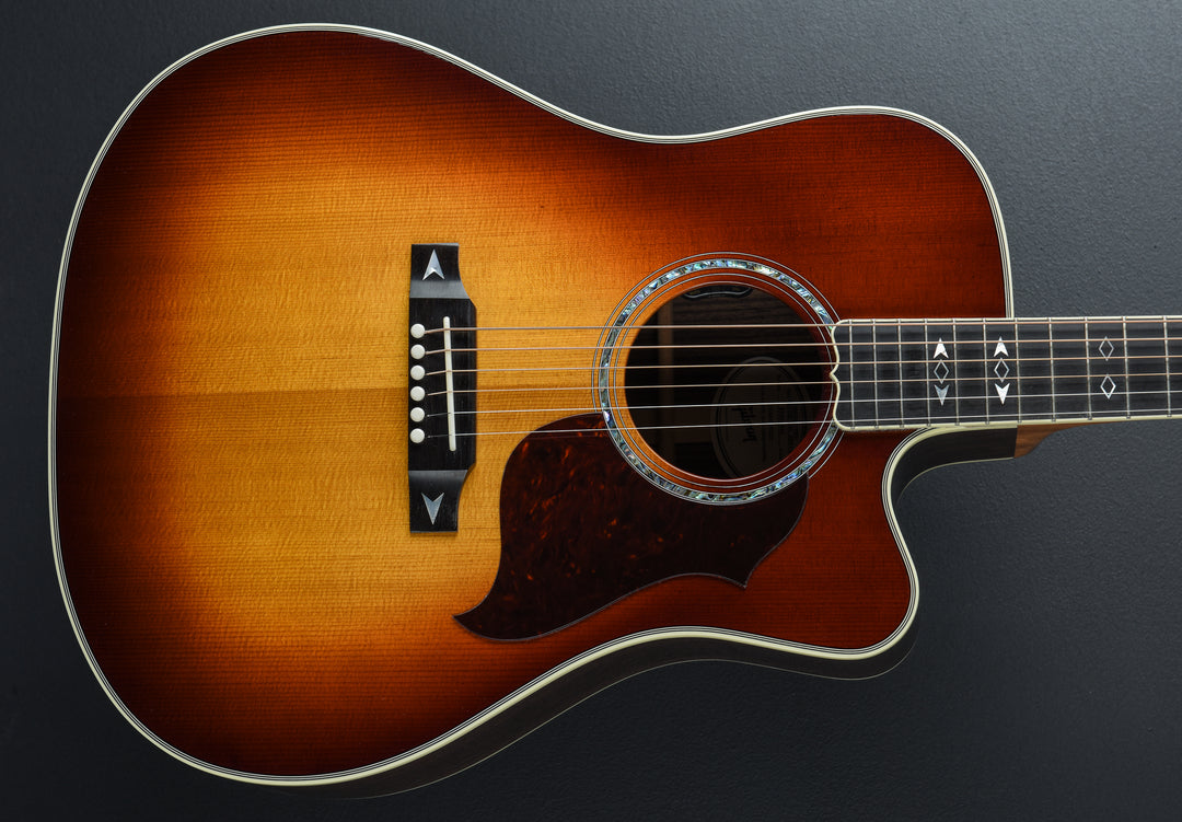 Songwriter Recording Artist EC - Rosewood Burst