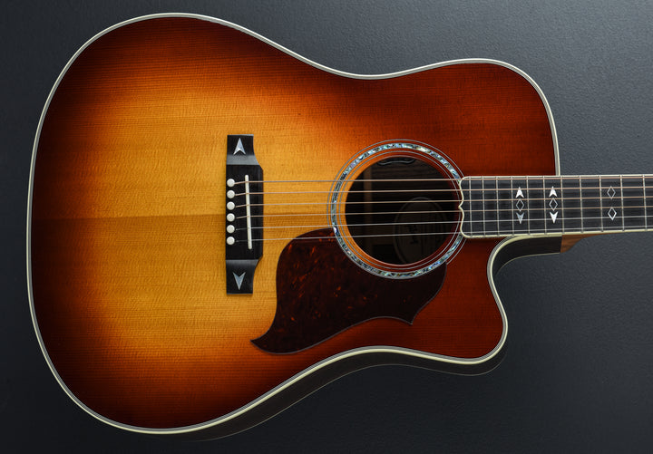 Songwriter Recording Artist EC - Rosewood Burst