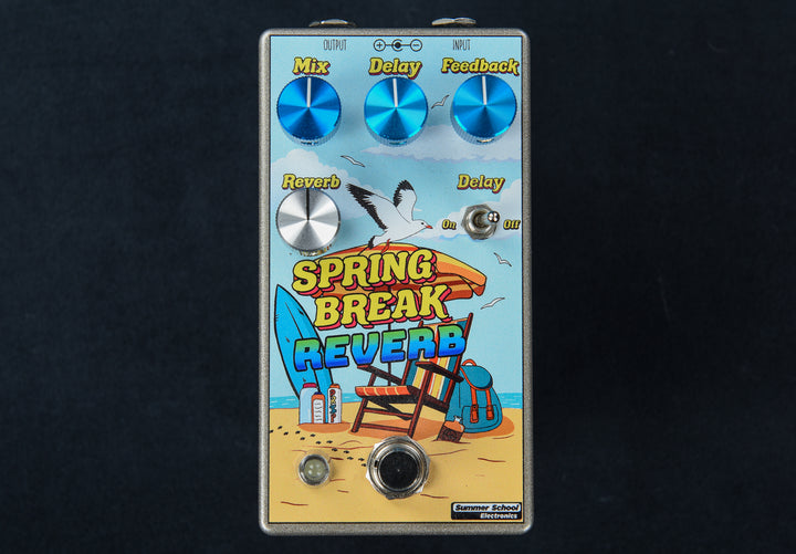 Spring Break Reverb, Recent