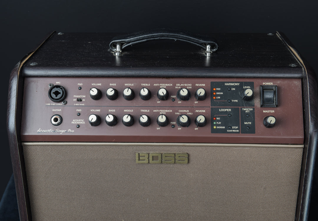 Acoustic Singer Pro &