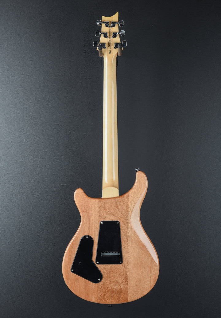 SE Custom 24 &