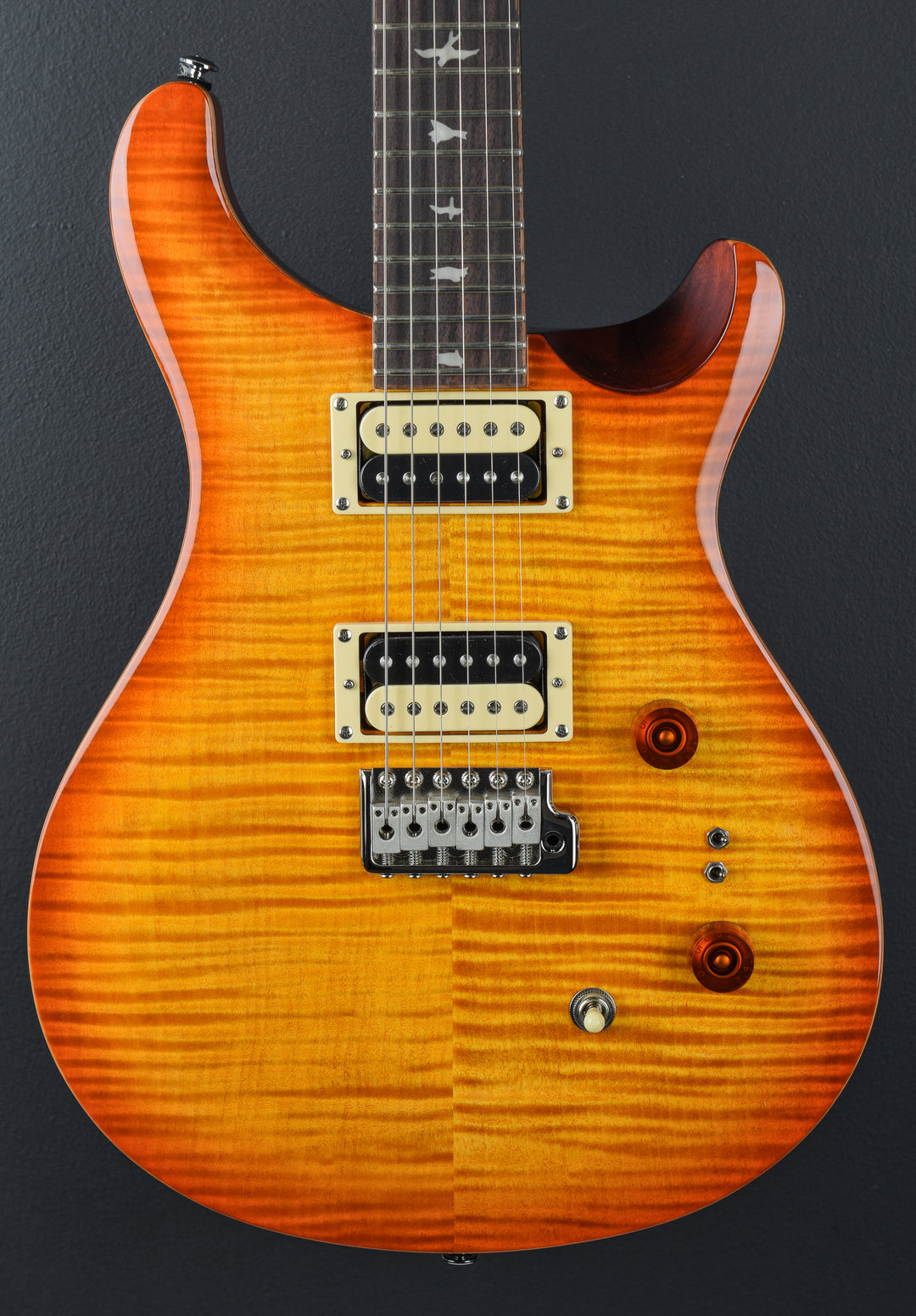 SE Custom 24-08 &