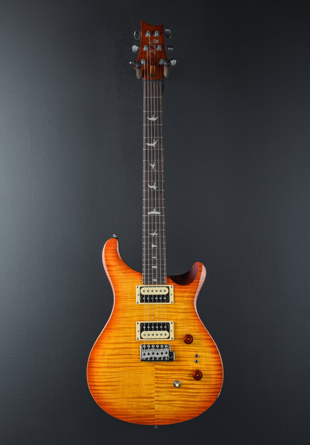 SE Custom 24-08 &