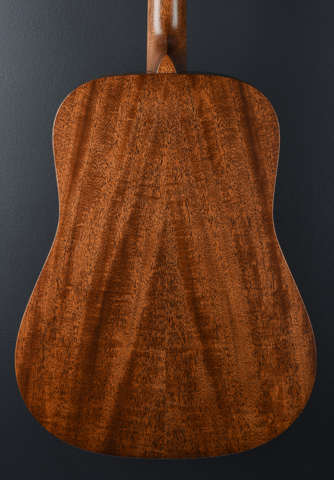 New for 2025 D-17