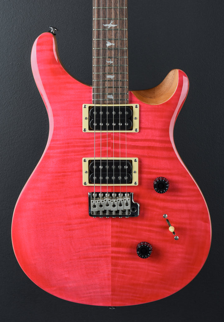 SE Custom 24 &
