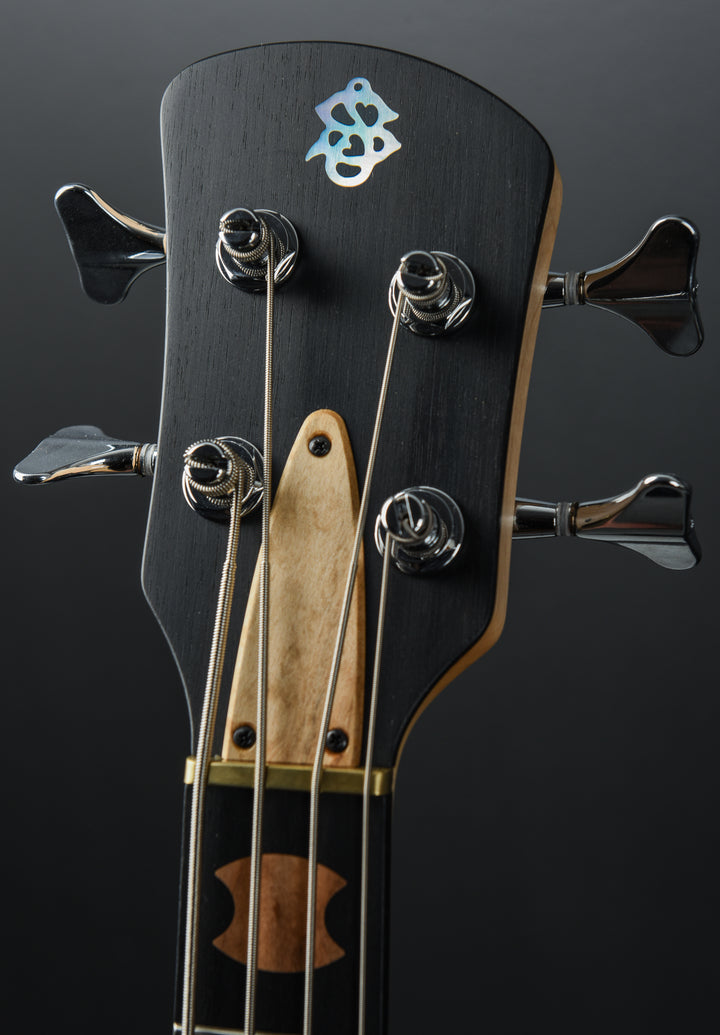 USA NS-2