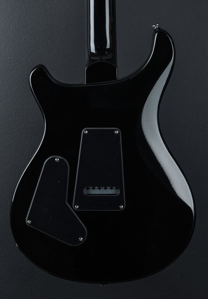 SE Custom 24 &