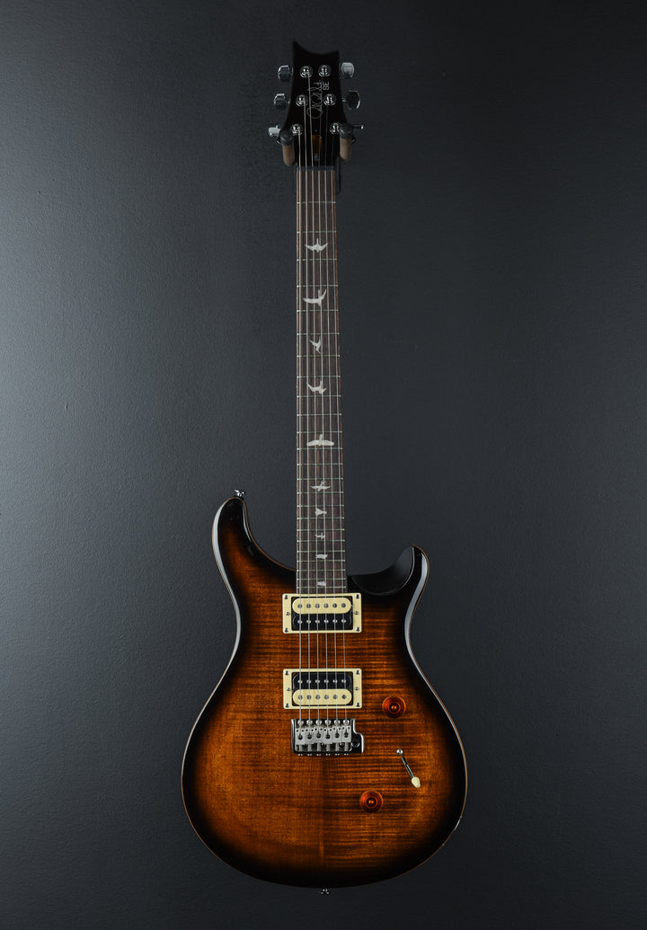 SE Custom 24 &