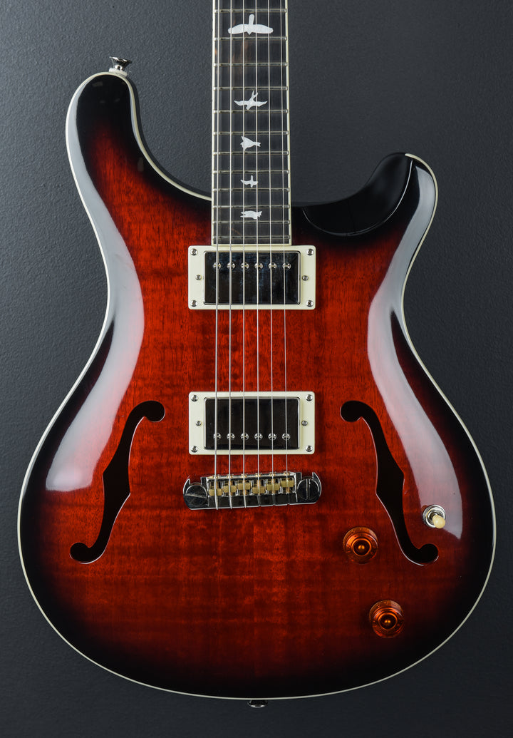 SE Hollowbody Standard &