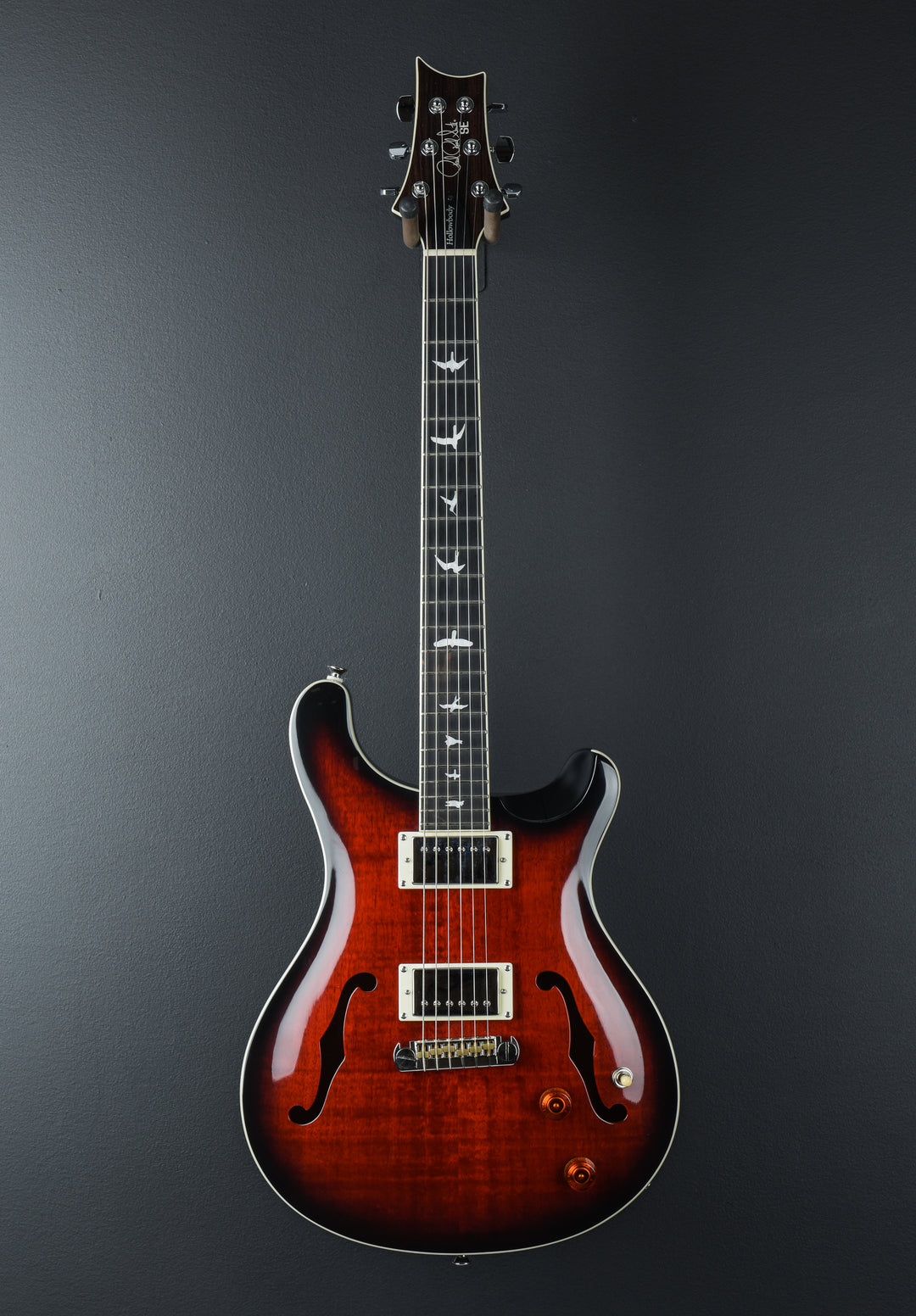 SE Hollowbody Standard &