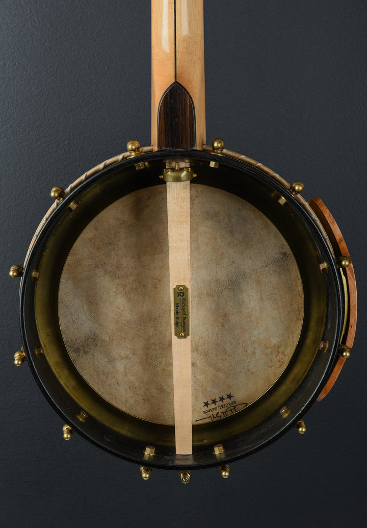Parts Banjo, Recent