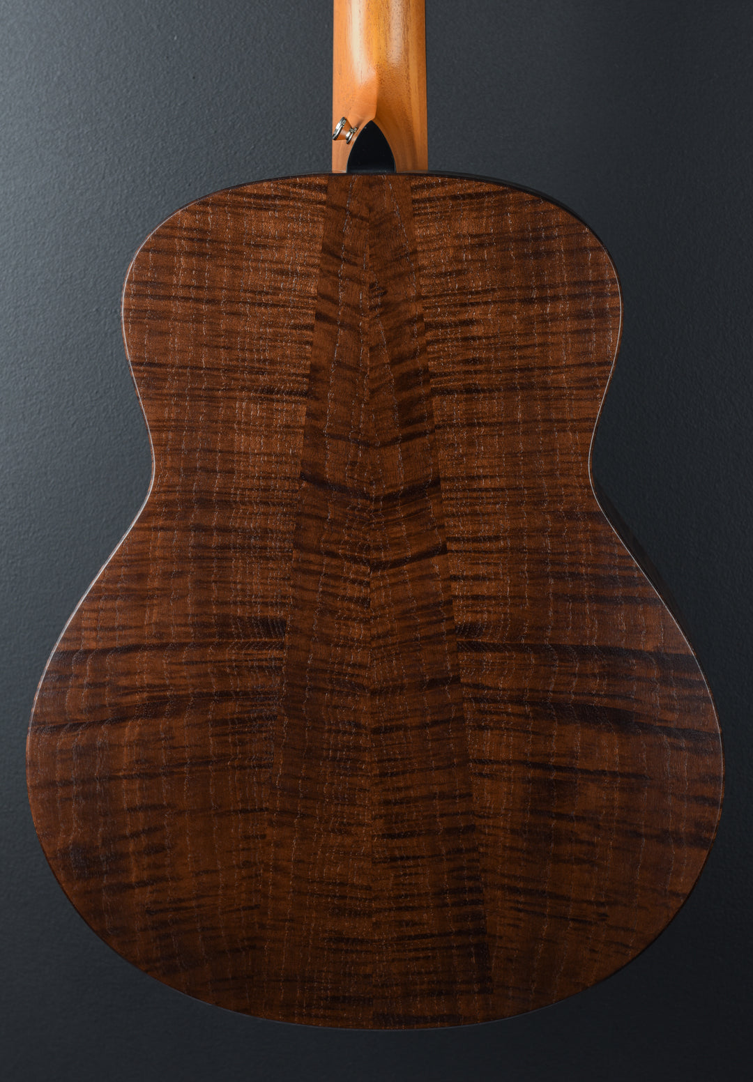 USED GT Urban Ash &