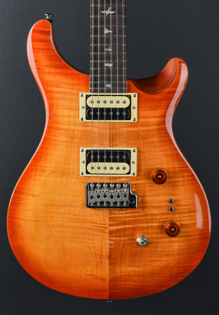 SE Custom 24-08 &