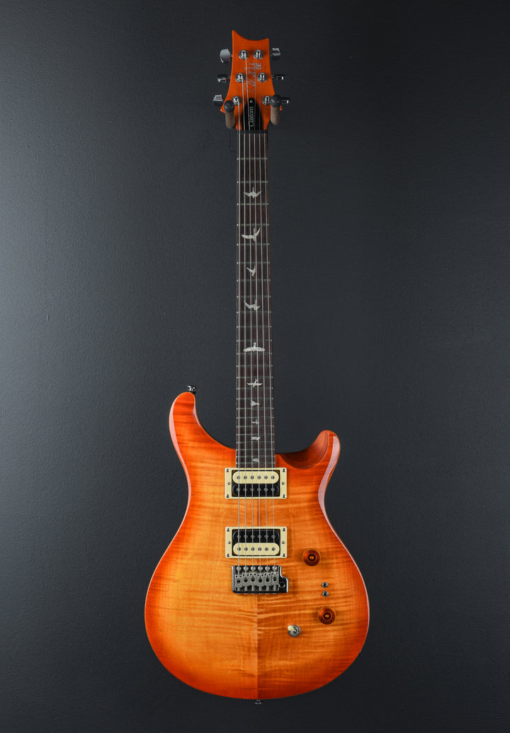 SE Custom 24-08 &