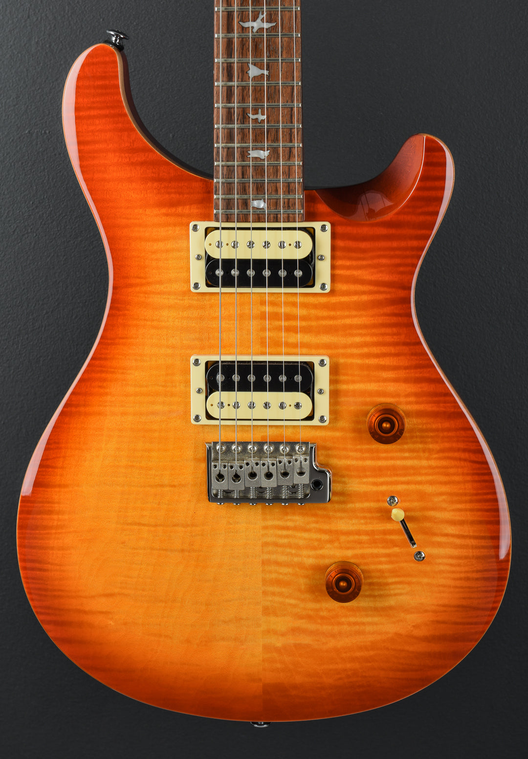 SE Custom 24 &